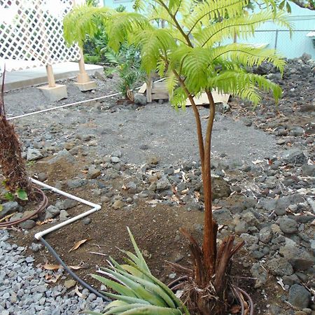 Ohana Hale Kailua-Kona Extérieur photo