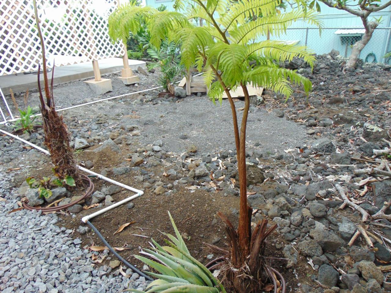 Ohana Hale Kailua-Kona Extérieur photo